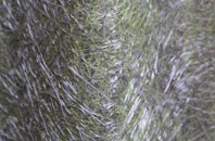 Withington Green fibreglass roof work